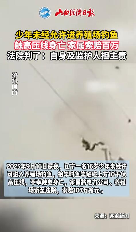 “谁死谁有理？”辽宁阜新，16岁男孩深夜和表哥偷偷进养殖场钓鱼，抬竿时不慎碰上高