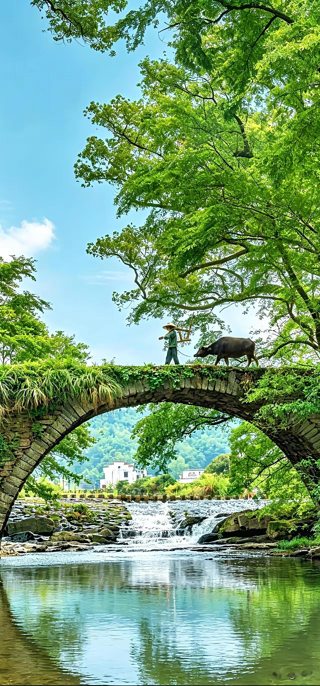 房子越住越旺，不用摆件，做好6件实事就行1. 定期断舍离杂物堆积易闷味、