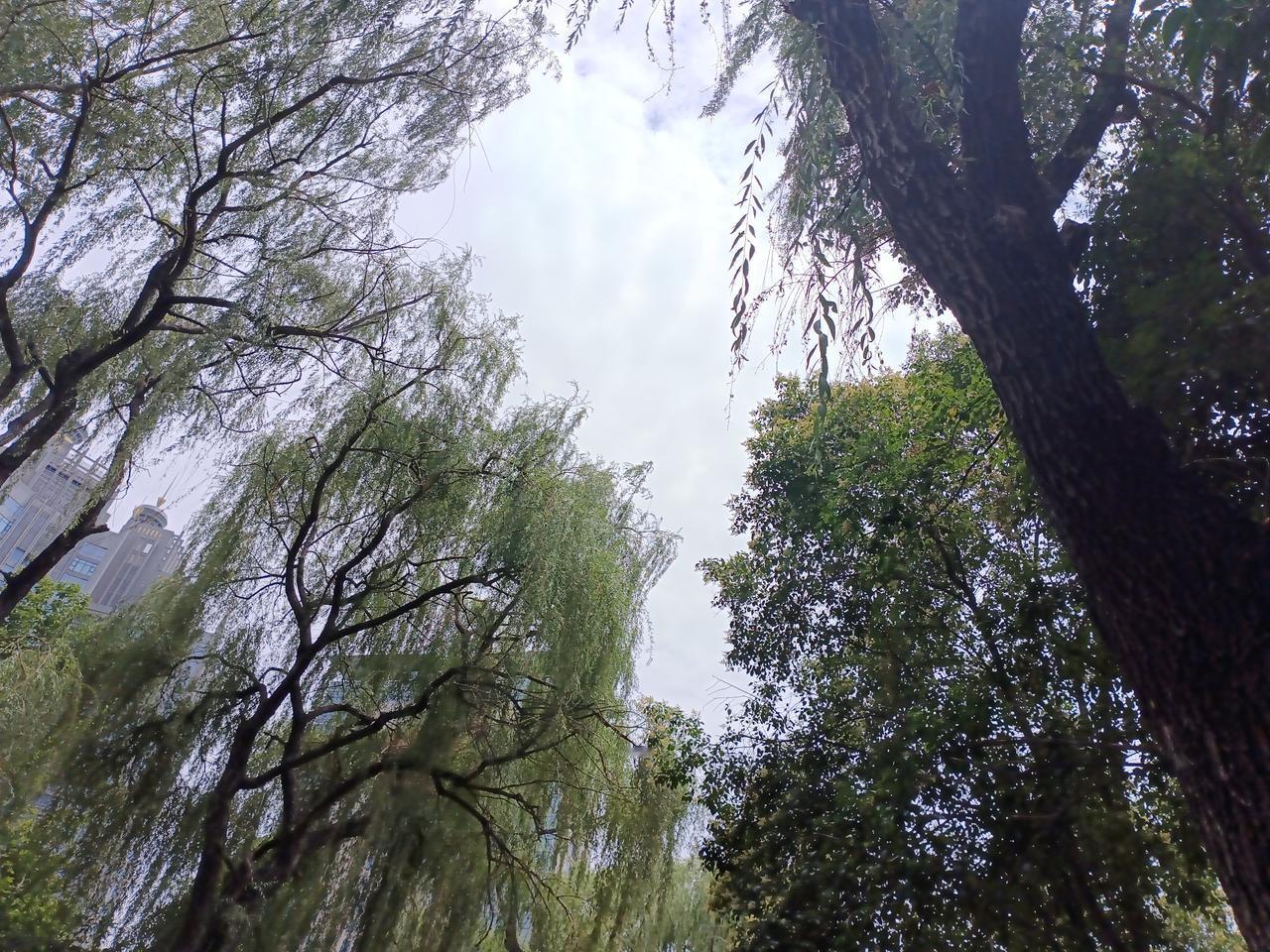 还得是人民日报，思路就是准确清晰，三连评直接把西贝事件的来龙去脉说得一清两楚。