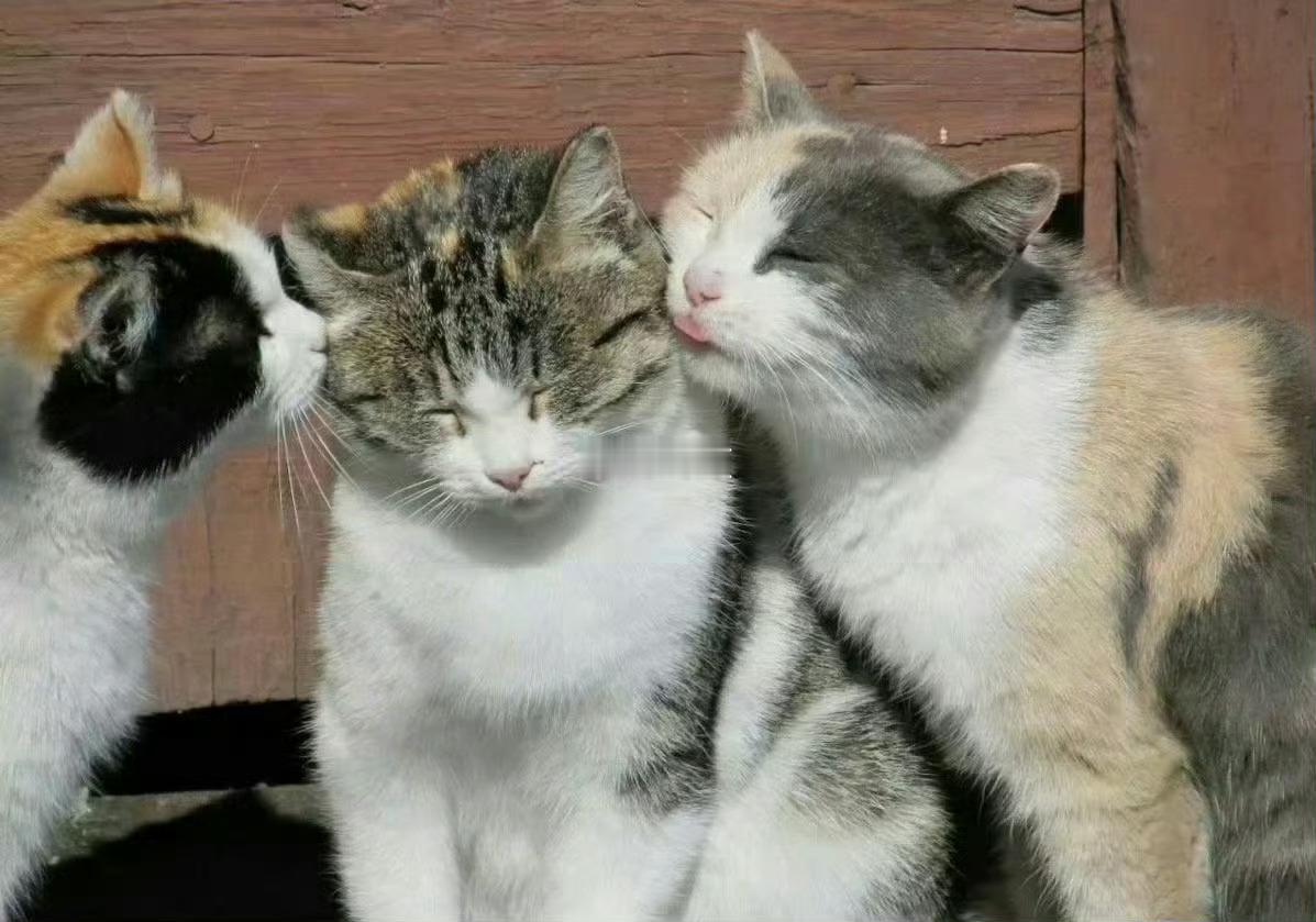 明天开始你的运势三倍上升，好事围着你。