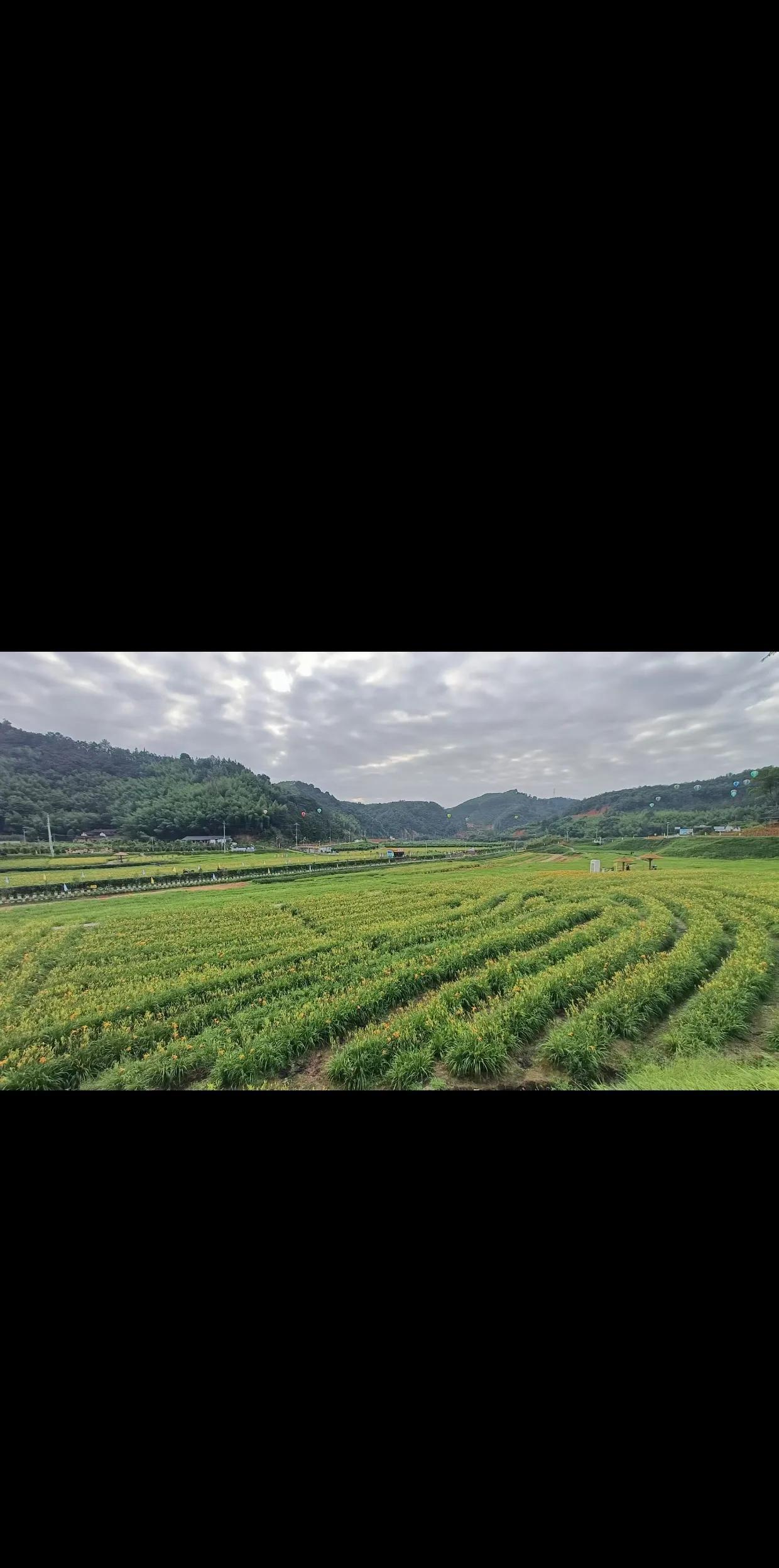 一个国有企业，急需专业人才，但又给不了太高的工资，为了吸引学生报名，人事部门打出