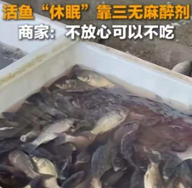 太恶心了，央媒曝光活鱼内幕！央视这波暗访直接把水产圈的遮羞布撕得稀碎，重庆