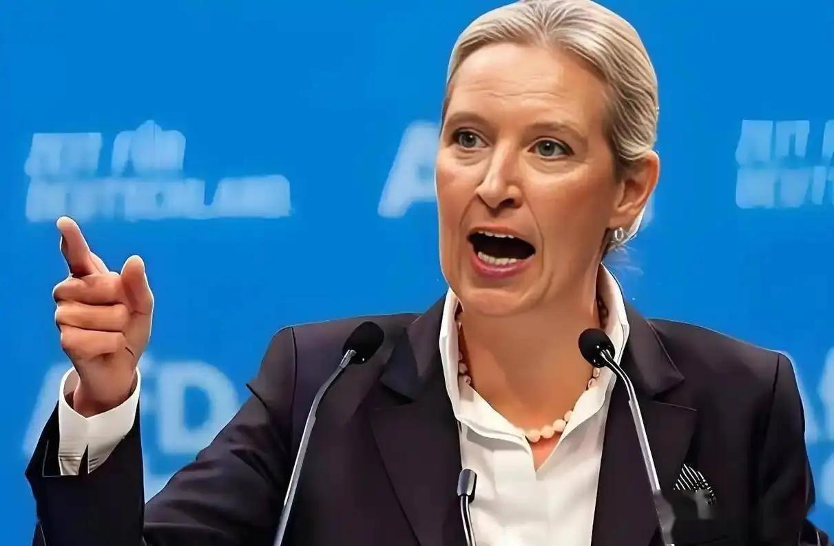 世纪丑闻！德国选择党领袖魏德尔当众揭穿泽连斯基贪腐黑幕！2026年9月10日