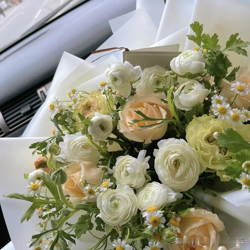 女生为什么对房子有一种执念？网友A：“从基因上来说，女性有孕育的功能，需要有