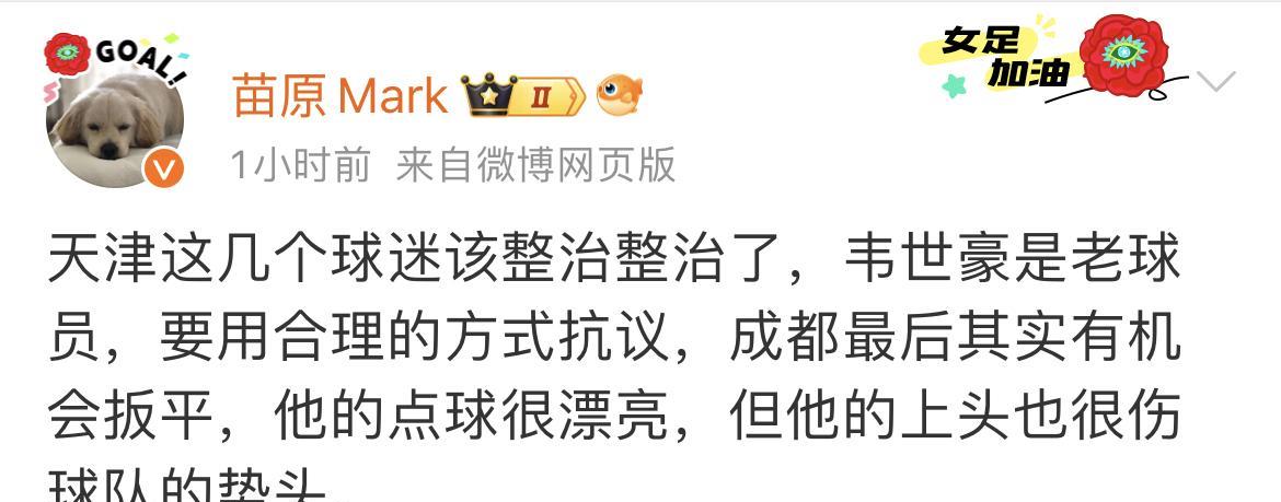 媒体人苗原显然认为天津津门虎球迷和韦世豪双方都有责任。苗原认为球场上的骂也是一种