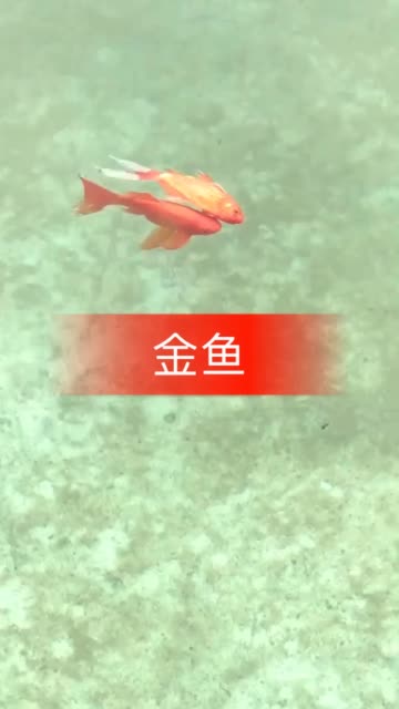 13668874763376755698.jpg?id=0