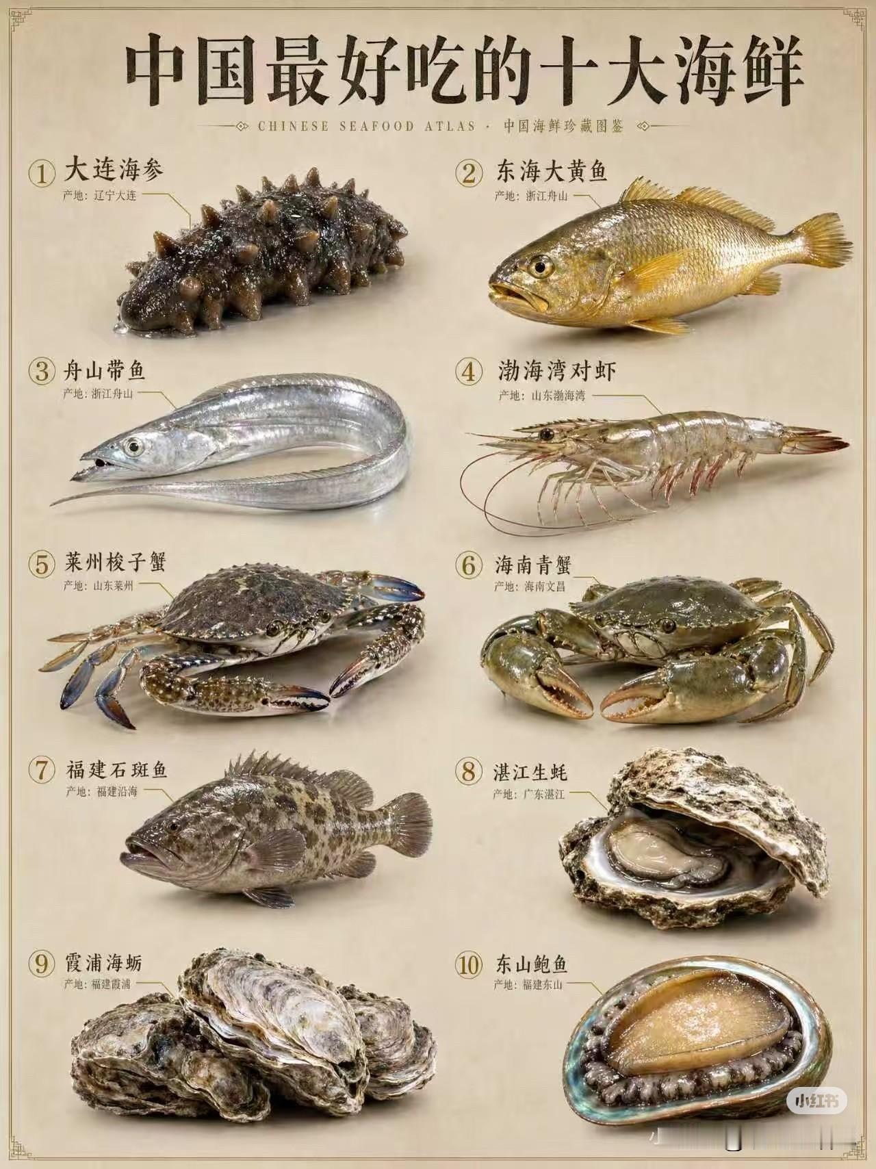 这十种最好吃的海鲜，你吃过几种？
