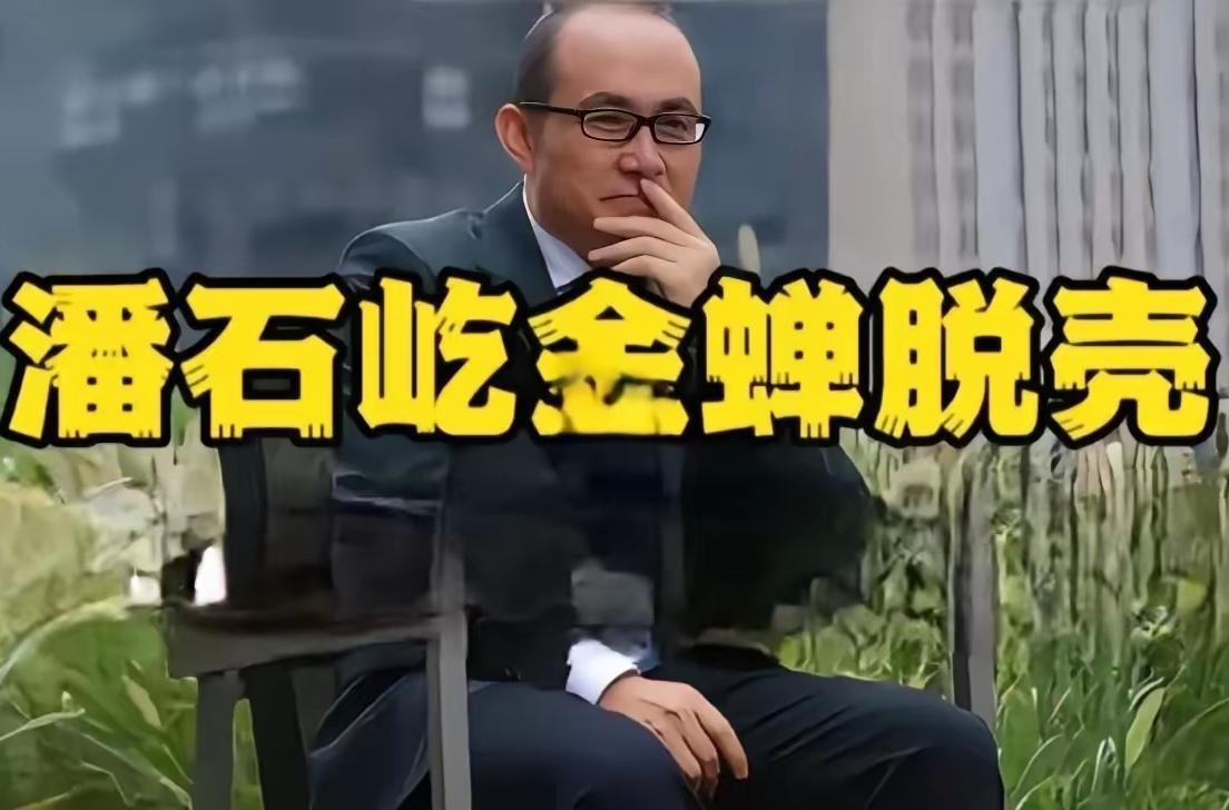 潘石屹当年接受采访时说过:商人最大的风险来自于政治风险,因为经济上的账很容易算清