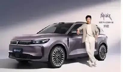 一觉醒来，万万没有想到，车市大变！本以为新能源30万级中大型SUV细分市