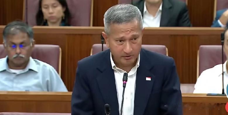 新加坡在巴以问题上的态度，一点不绕弯子还挺实在。2024年7月，新加坡外长维文