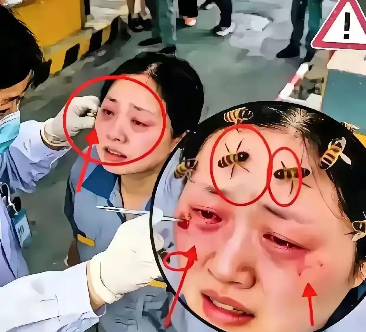 又有离谱事发生！货车拉着蜜蜂要走绿通，司机再三强调开箱蜜蜂就会飞出来，可两个女