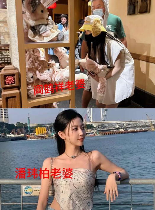 看了阎鹤祥老婆的照片我有一种感觉那就是和潘玮柏老婆，是一个类型的，像网红或