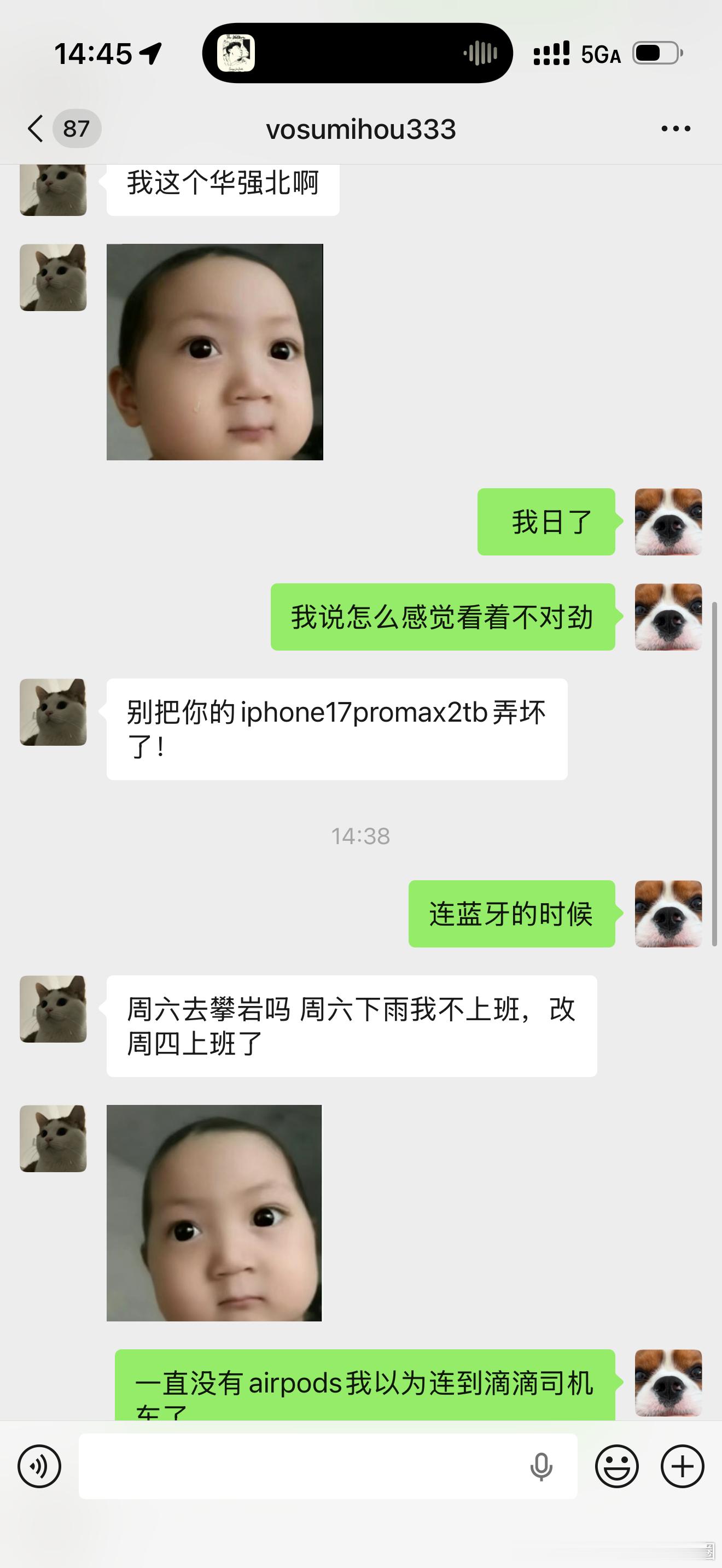 到底要干嘛
