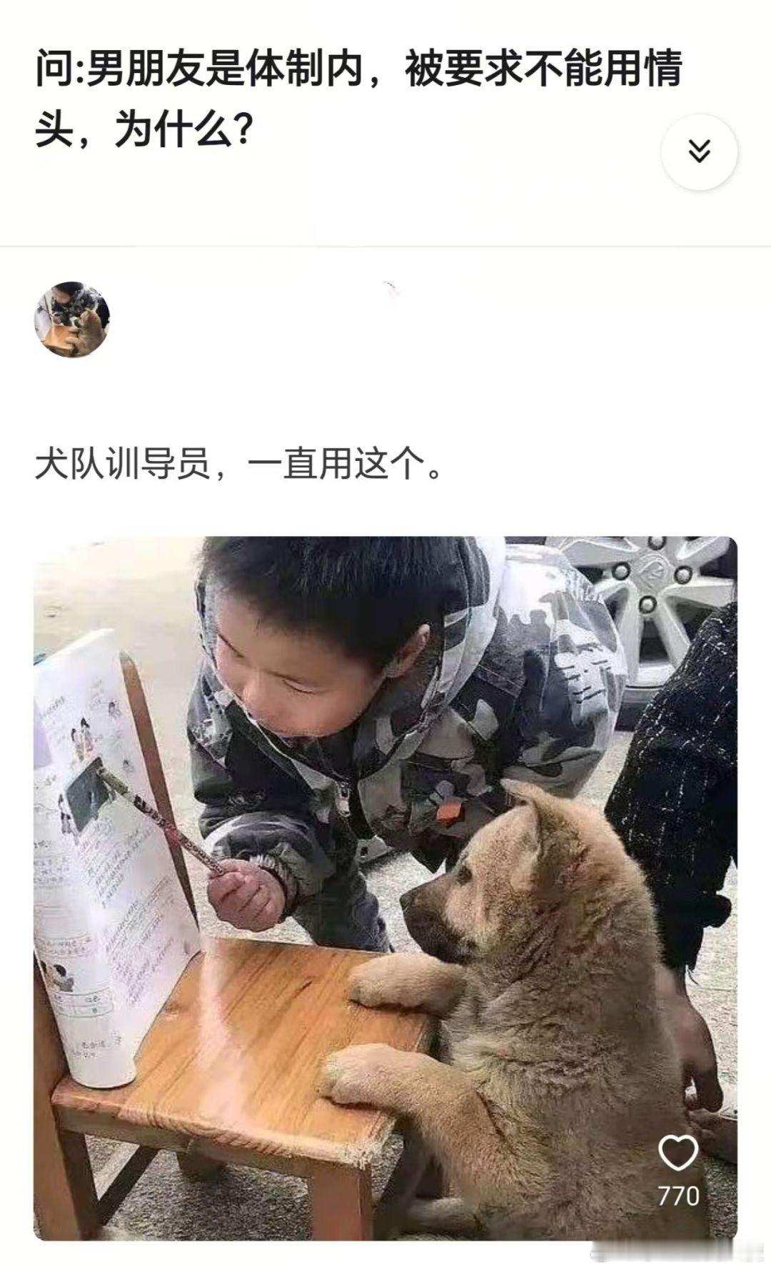 体制内对头像也有要求吗？​​​