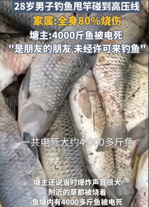 广西桂林，28岁小唐未经鱼塘主老莫允许，到其非经营性鱼塘钓鱼。甩鱼竿时触到高压线