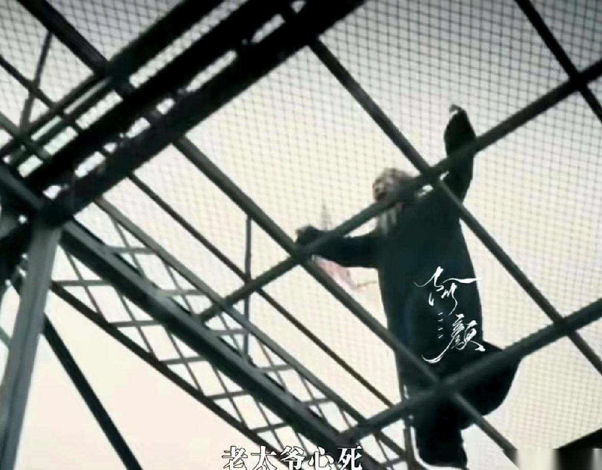 电视剧《八千里路云和月》里，张汝贤老太爷没能等到天亮，他从高架上一头扎了下去。