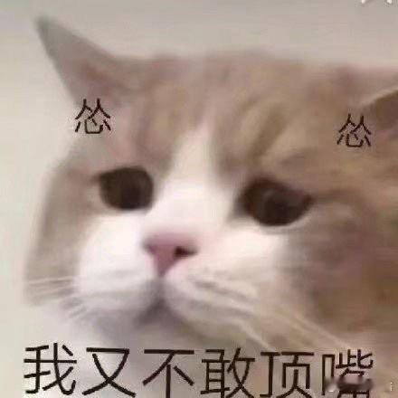 AI正在悄悄偷走你的思考能力那些写错字会脸红的修改，那些纠结的段落，都是有温度