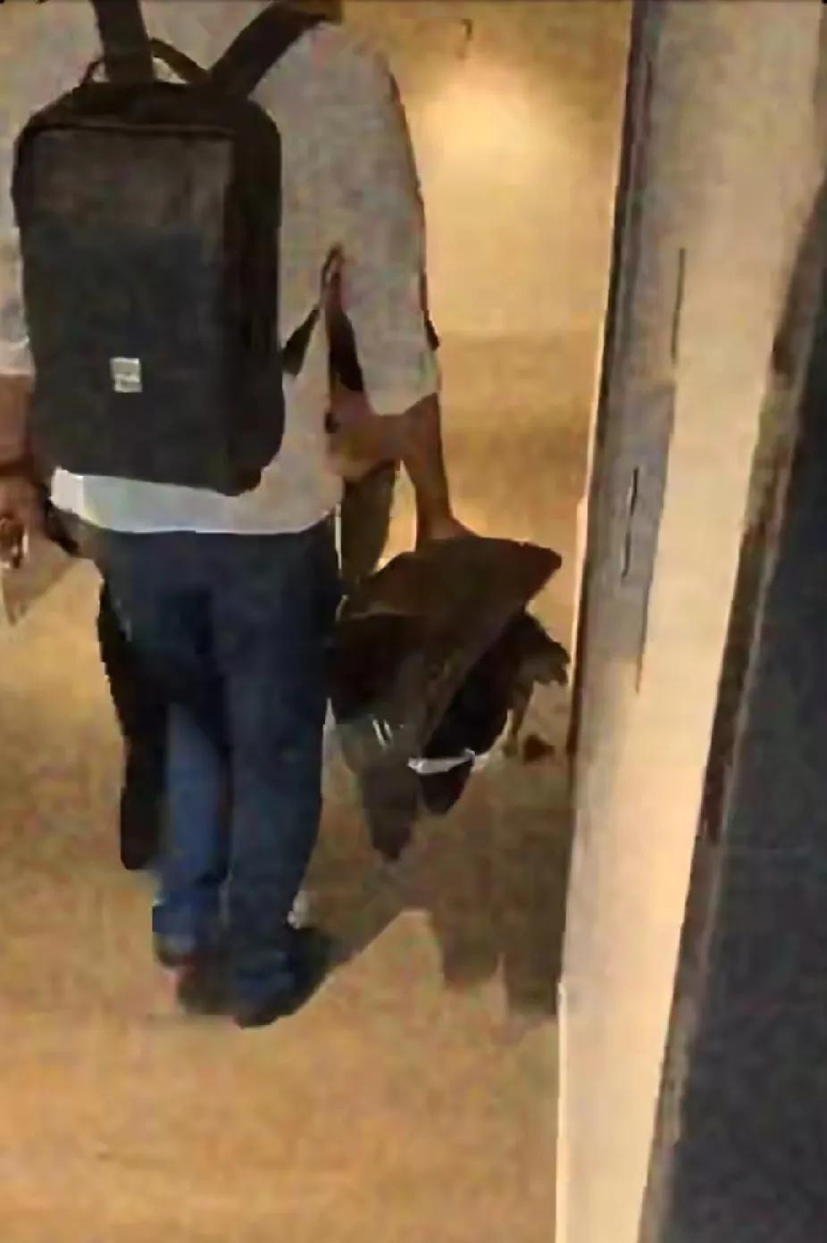 印度人再次刷新道德下限，抓加拿大大鹅当晚餐。偷鸡摸狗成常态，加拿大人又破防了！