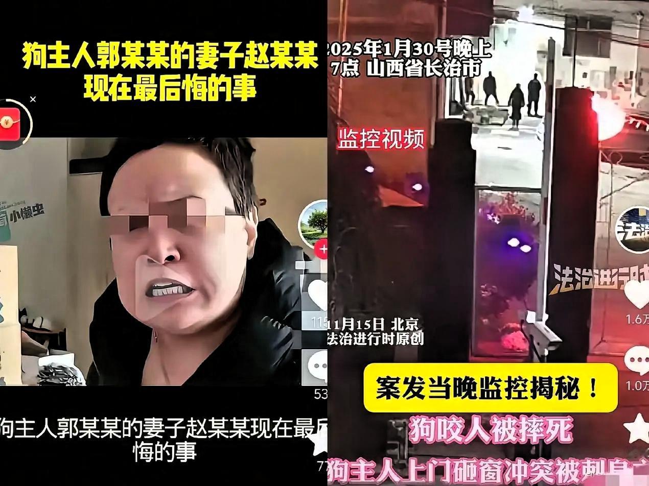 赵某晖到现在都没懂，毁掉自己家的不是别人，正是她骨子里的优越感！自家狗先咬