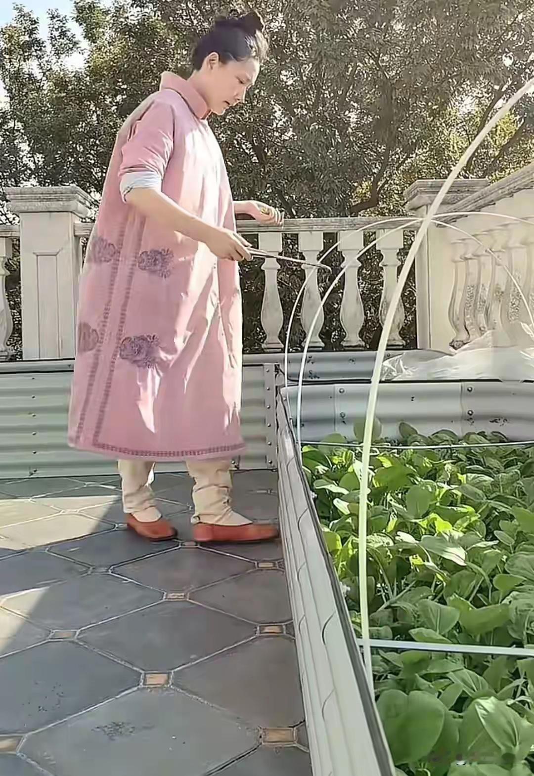 何赛飞三姐妹近况曝光，妹妹是大老板，何赛飞老公深藏不露​​​