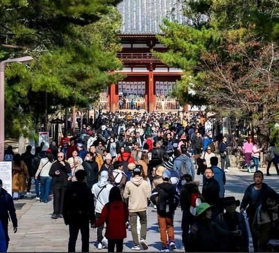 不让去日本旅游你不听。这下在日本想回来都有点困难了吧！外交部早就提醒别去日本