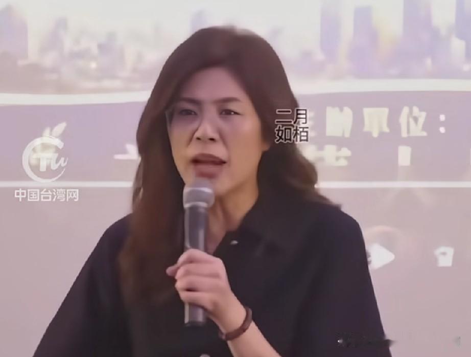 曾经稳稳拿捏舆论话语权的国民党文传会，如今成了无人敢接手的烫手难题。放在之