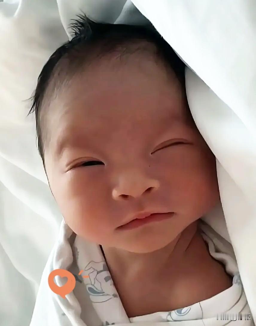 估计马筱梅自己都没想到，被网友质疑了这么久的整容，居然在儿子这儿直接拿到了“