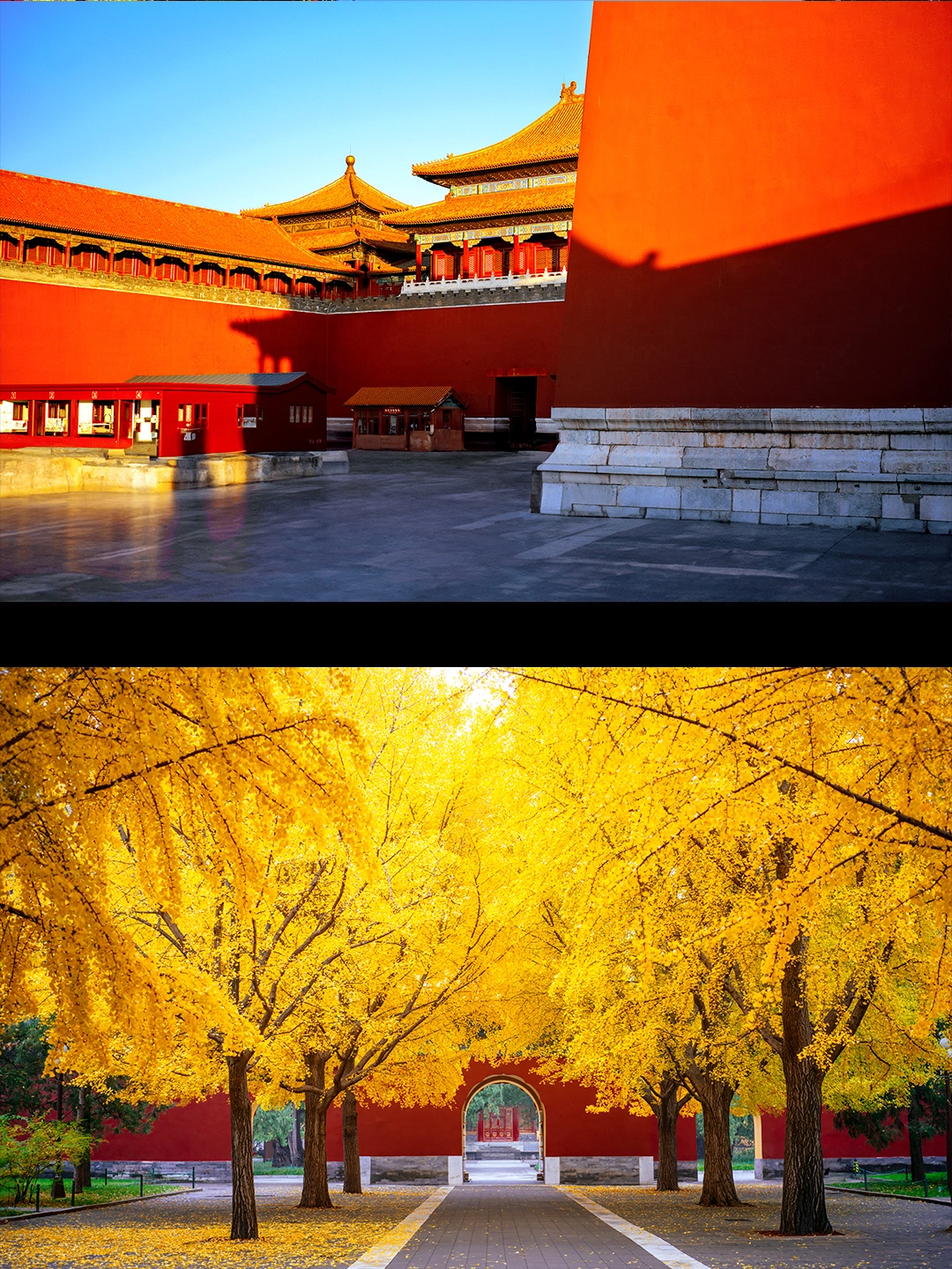 我用哈苏，把北京深秋拍成油画里的梦境！