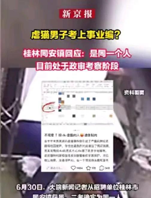 俗话说：“人在做，天在看”！还别说互联网也是有记忆的！为这位虐猫学子感到惋惜
