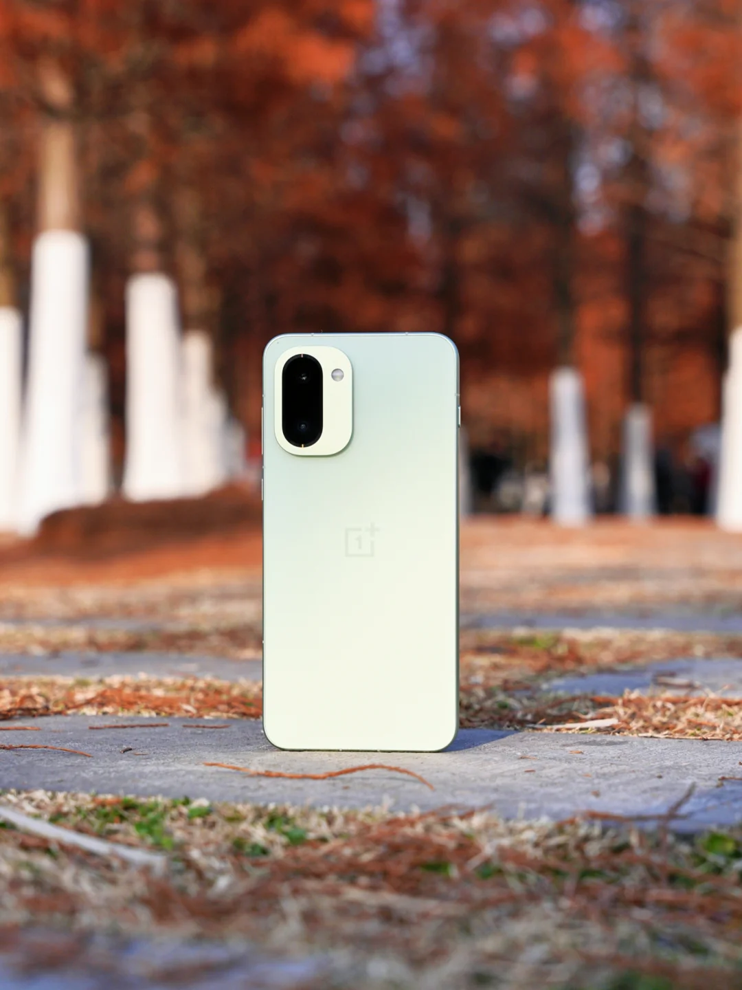 听劝！有钱就直接入手一加Ace6T，别没苦硬吃了。明说了吧，很多人压根就没有那么