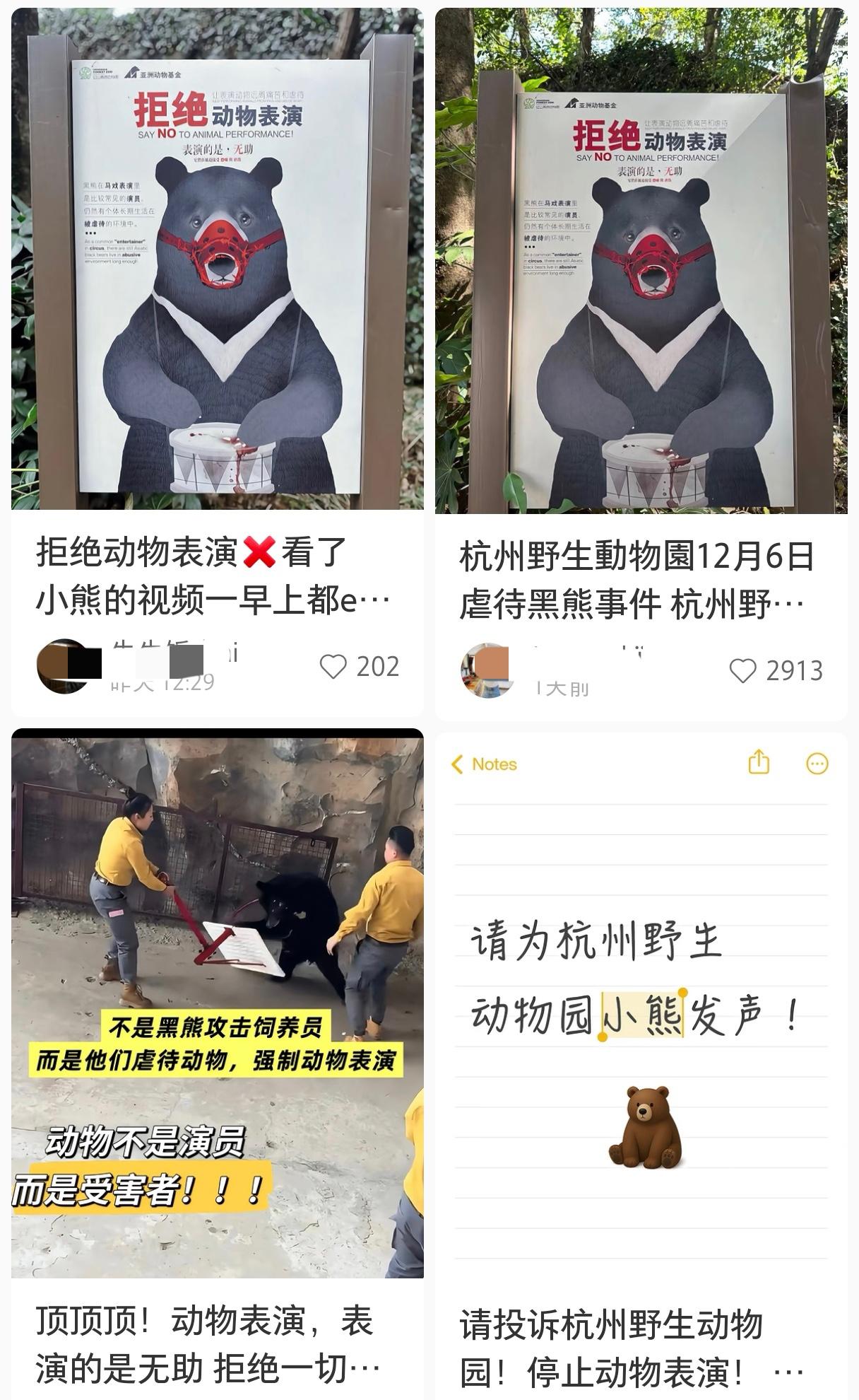 杭州野生动物园小熊和饲养员因为萝卜打了一架，崇尚西方白左那一套的动保人士像被按了