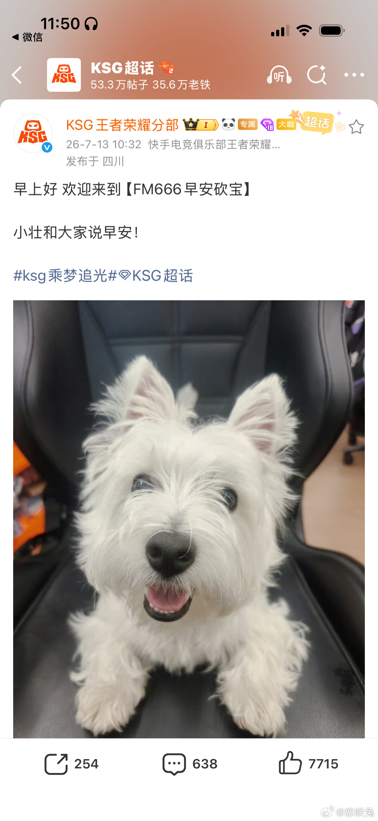 盘点那些吃蛋就发狗的队伍