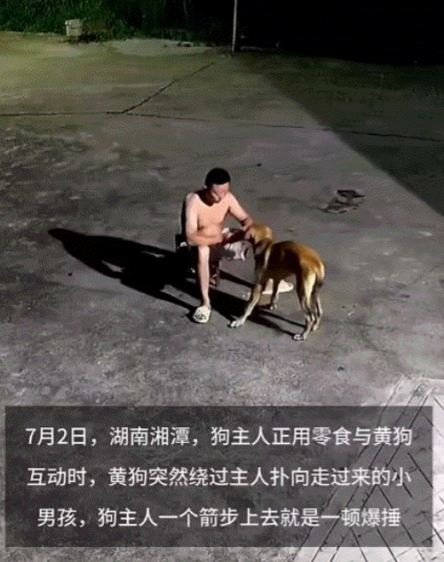 “打的好！”湖南湘潭，男子在自家小区花坛边喂狗，谁知道它突然发疯扑向旁边的小孩，