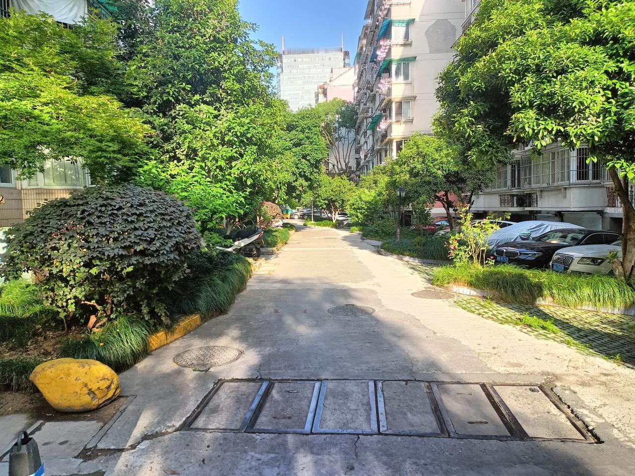 就这样的间距，居然还要投票搞加装电梯！单元门口就那么小的一块距离，哪里摆得下电