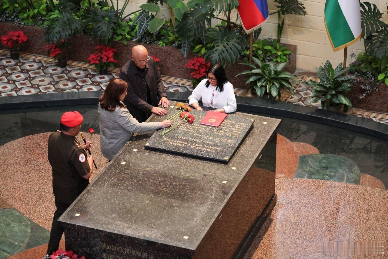 罗德里格斯在查韦斯陵墓对委内瑞拉和查韦斯宣誓效忠。来源：TabZ-Alter