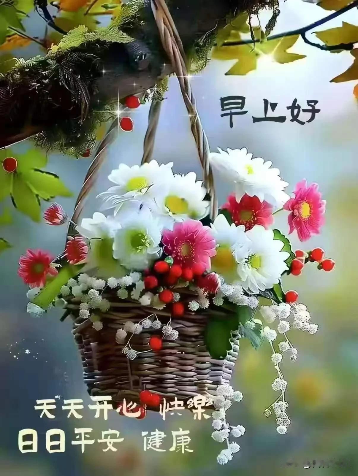 早安，新的一天，愿你事事顺心，日日开心。
