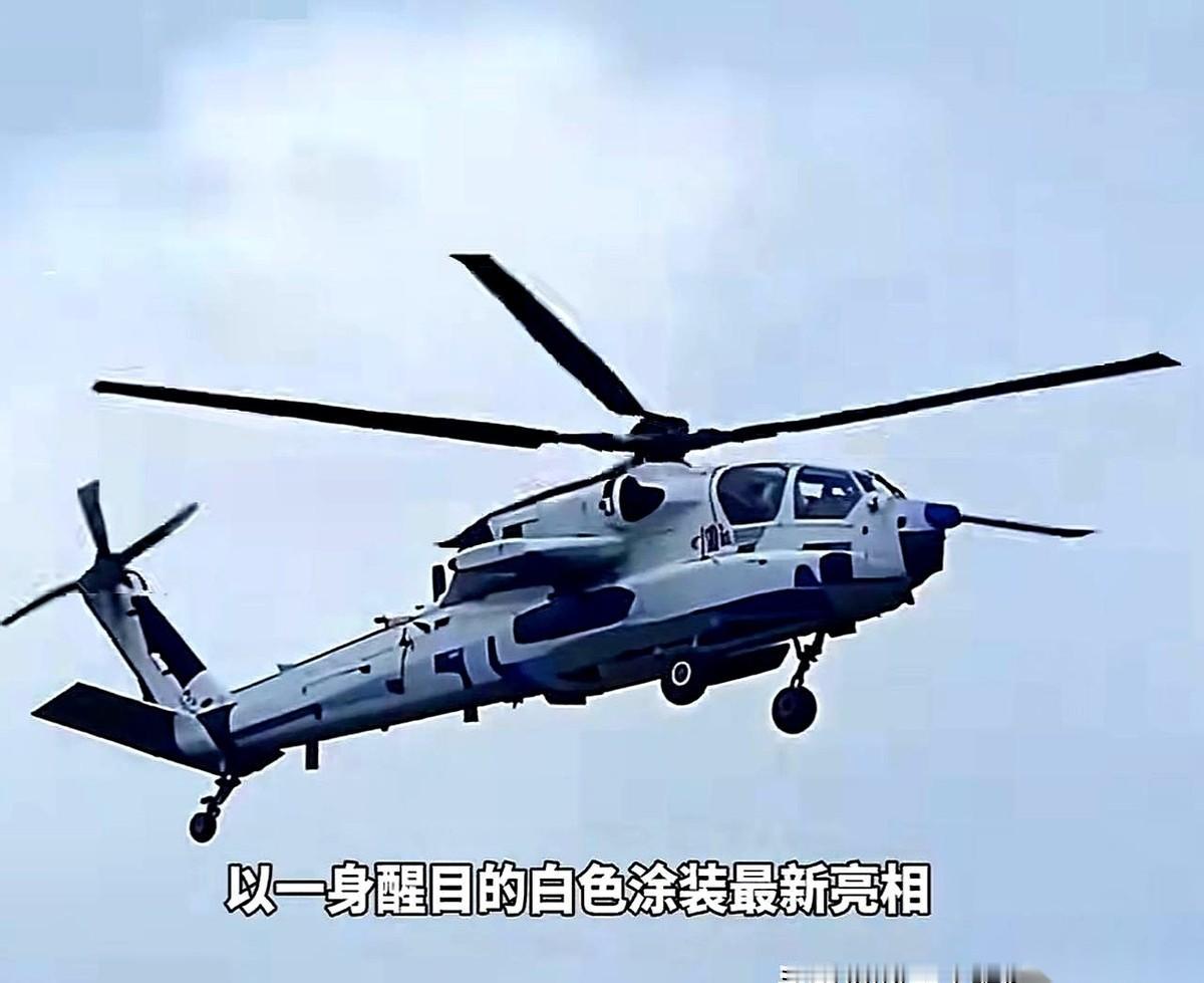 直升机，没了炮？这事儿听起来就离谱。军迷们的眼睛可毒得很。陆军版武直-21刚露