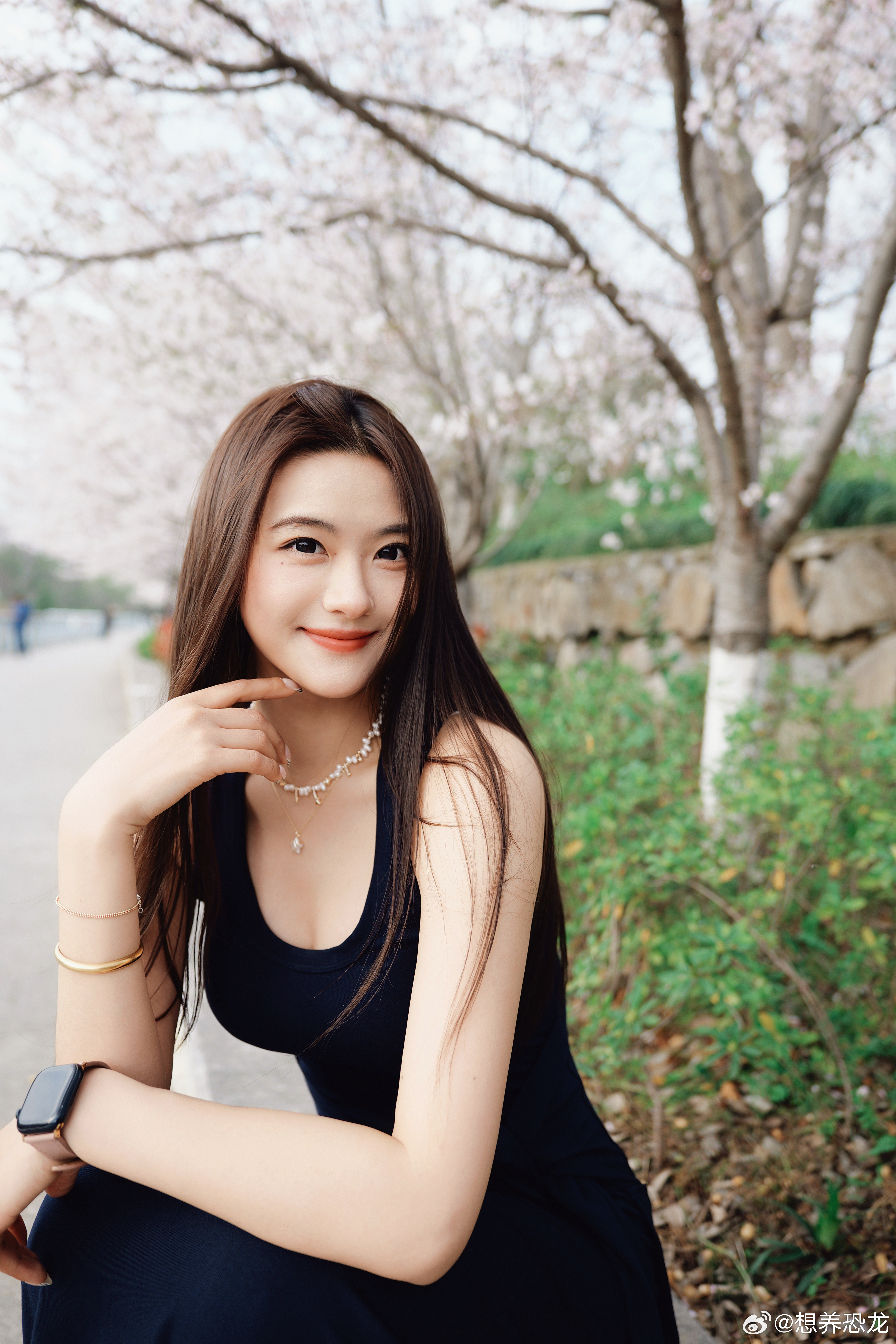 我想要新相机！！