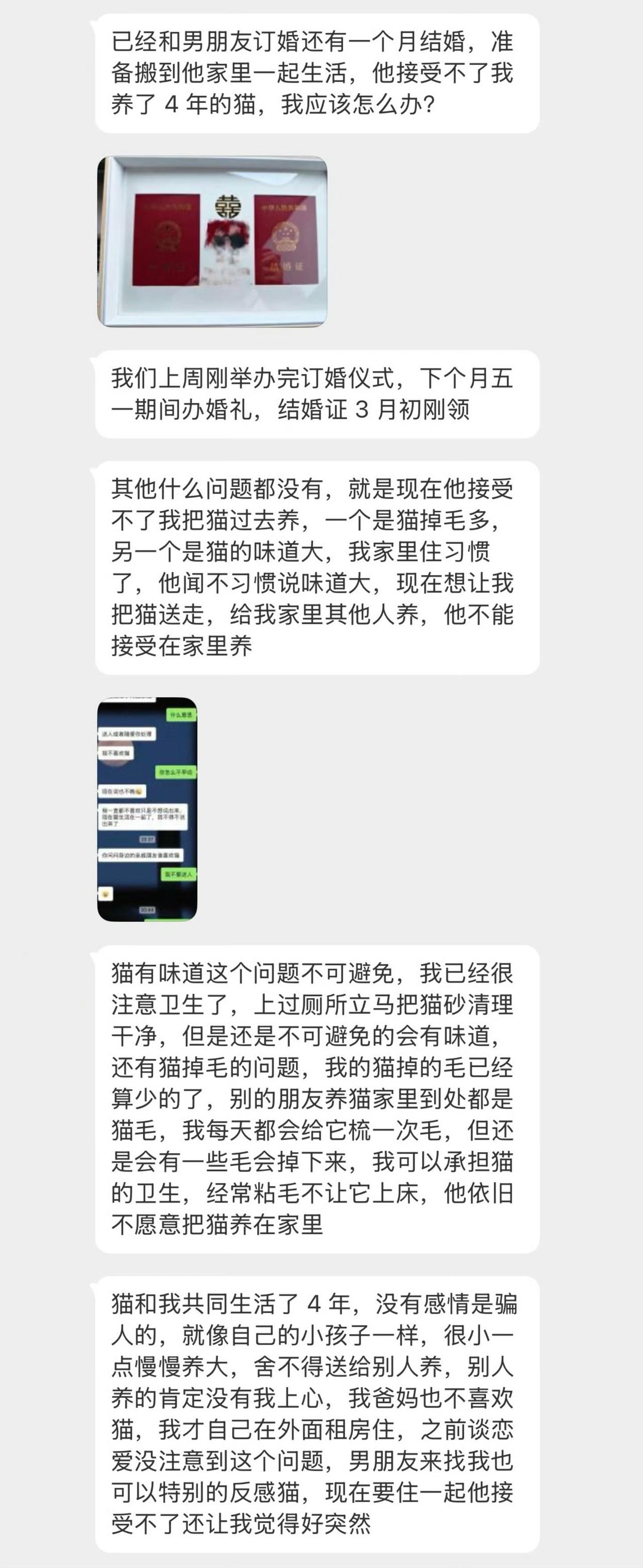 女子带着四只猫，要和已经领证的老公同居，却被他嫌弃，要他把猫处理掉。女子听了觉得