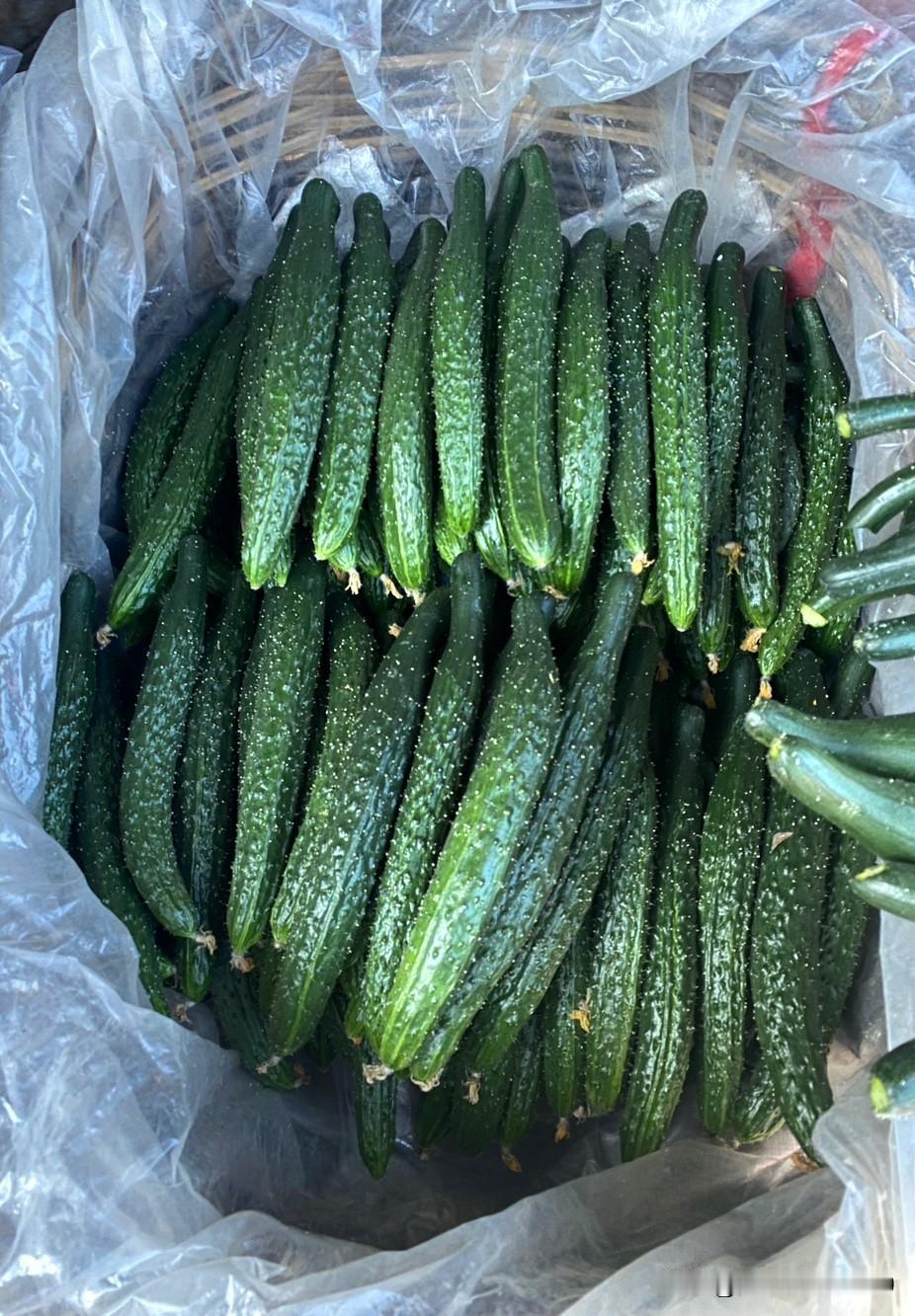 看看沈阳市场的蔬菜价格：青椒：3元菜花：4元蒜苔：7元甘蓝：2元紫茄子