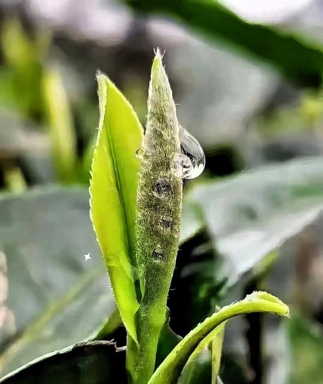 我奶奶说，一个人想要旺自己，一定要记得以下几点：​第一点，不要总说自己没有钱，