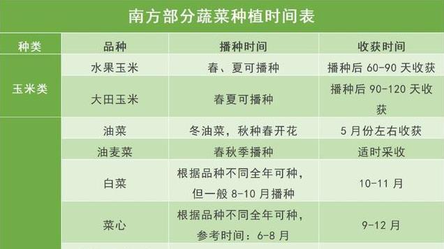 2025年蔬菜种植时间表, 新手种菜不迷茫!