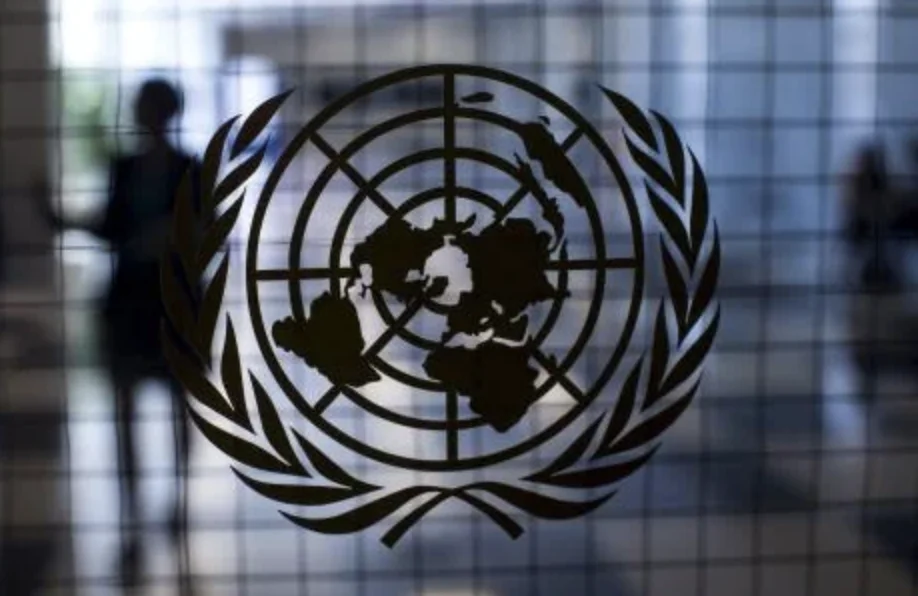 联合国调查组警告澳大利亚：侵犯人权