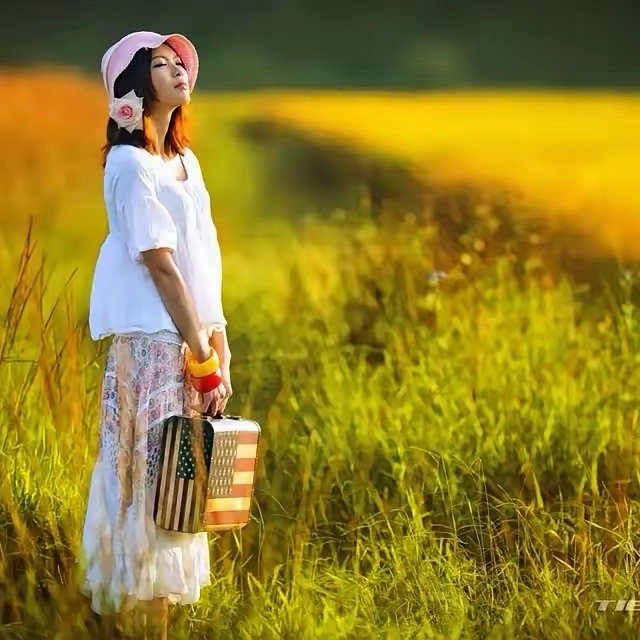 A股微跌震荡，市场一片哀嚎，股民又懵了，这行情没法玩！好好的盘面因为降温，市场表