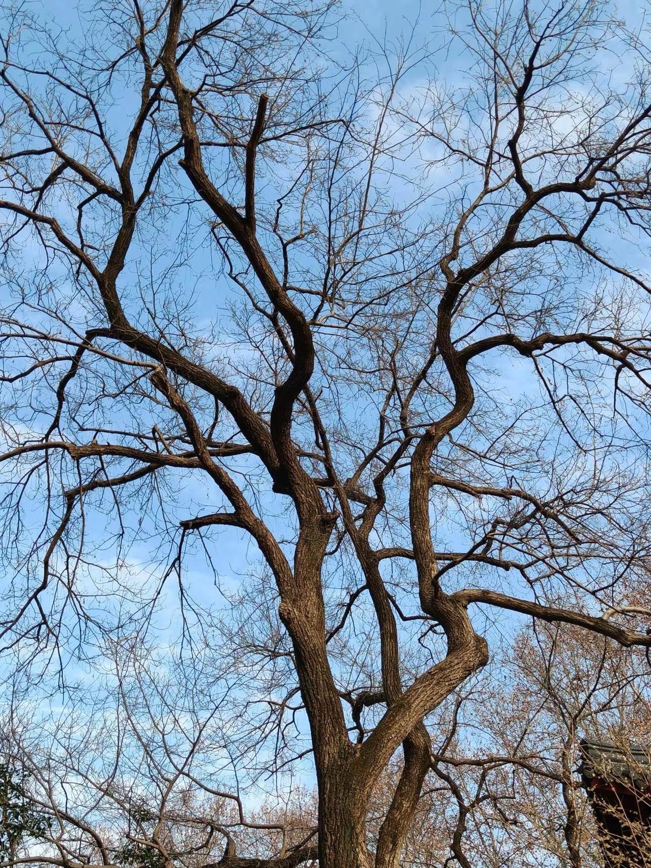 我的摄影日记风光摄影