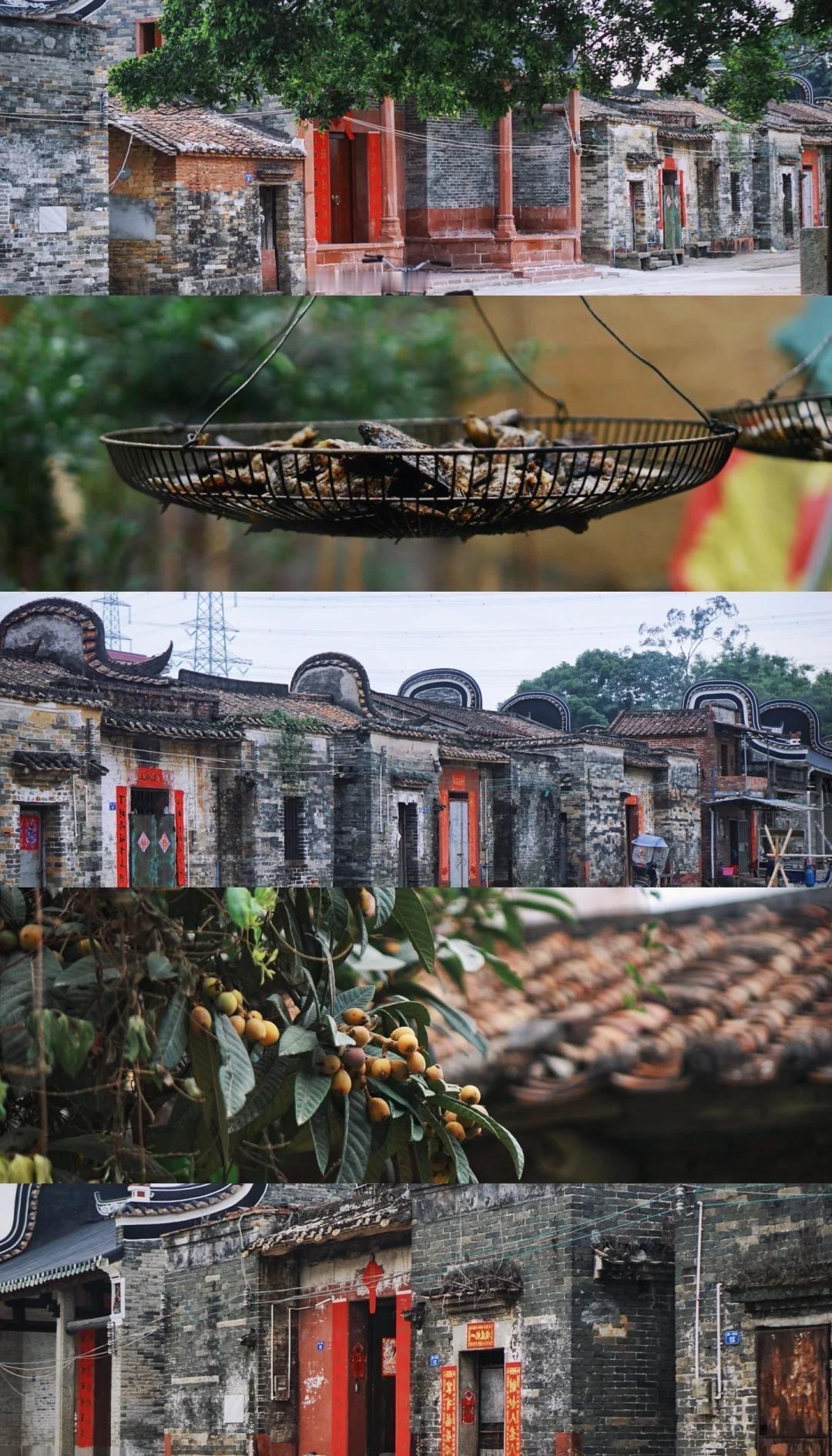 广州增城巴藏古村｜坑贝村，免费逛明清镬耳古建广州周边想找一处人少不商业化的古