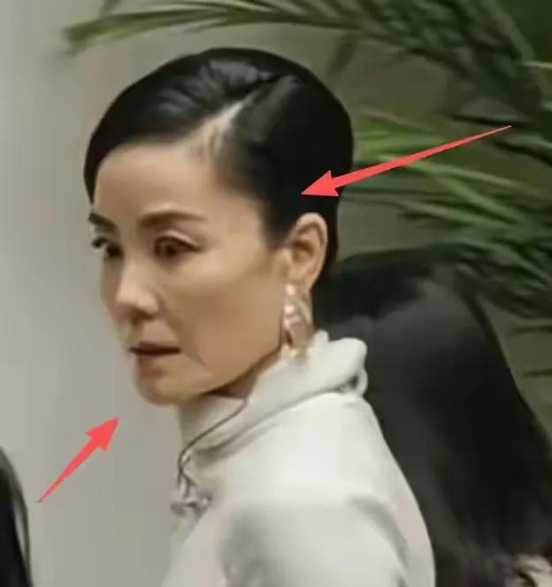 谁能想到，天后王菲素颜照，竟然把“自然老去”这个词顶上了热搜。春晚一亮相，她那