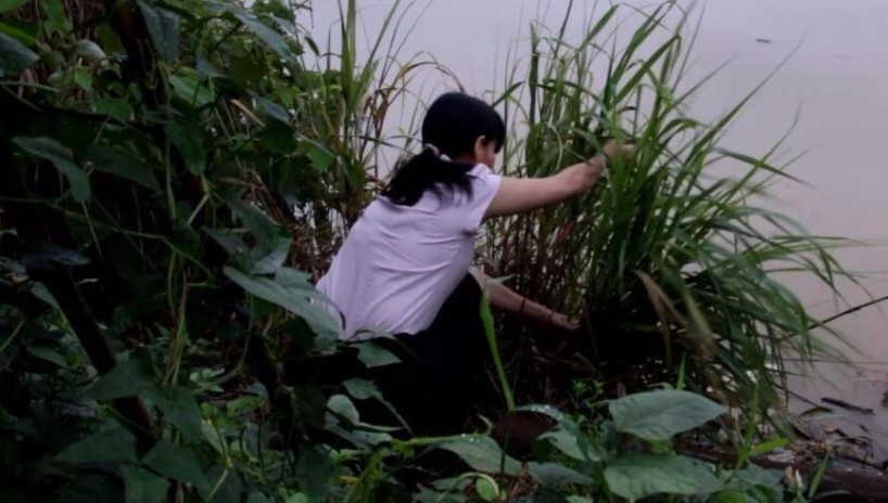 农村妹子河边放地笼,第二天早上发现满满的惊喜!