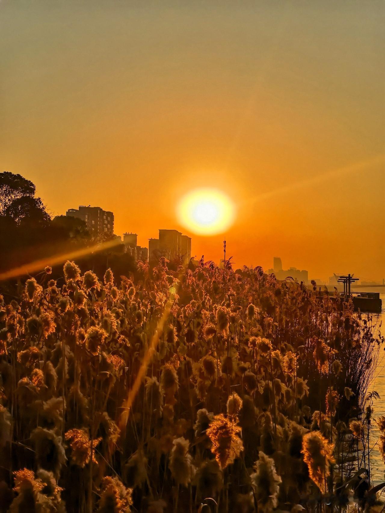 不知从何时起，我爱上了秋天。或许是爱上它的凉，风从很远的地方赶来，带着一种清