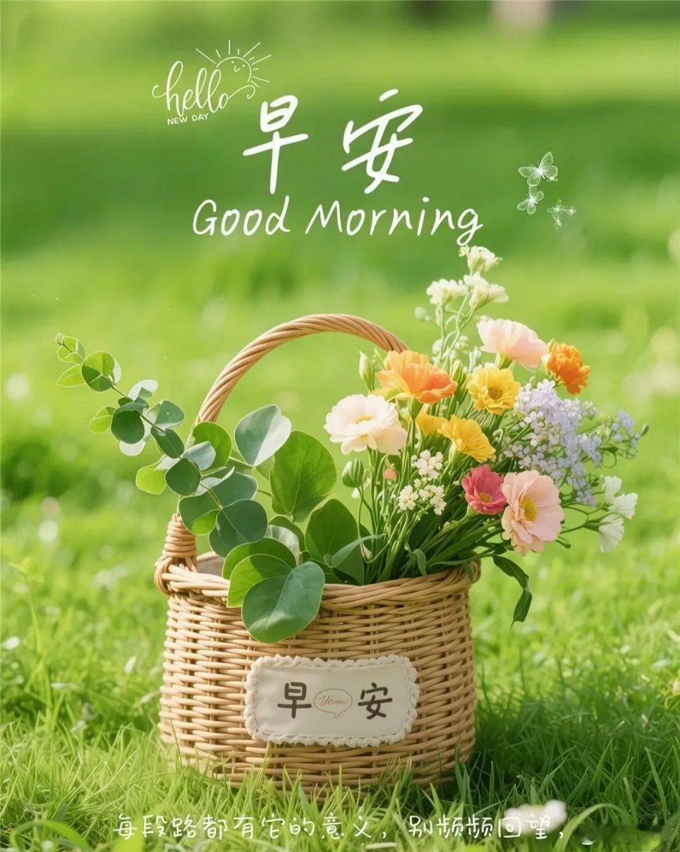 早安早安🔆𝒩ℯ𝓌𝒟𝒶𝓎 '͜'”🌸“晨起推窗，与